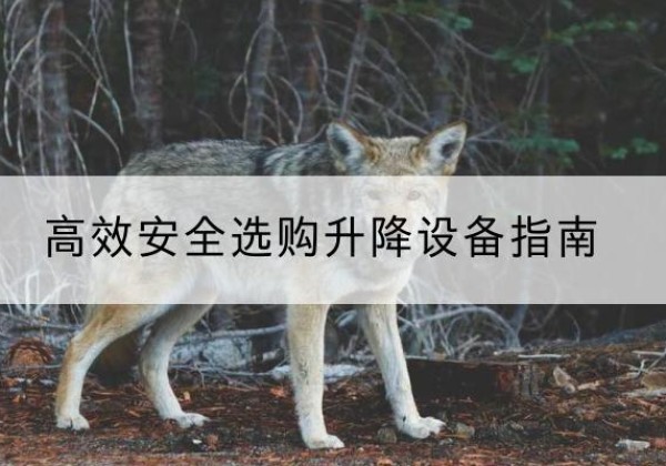 当涂升降货梯厂家推荐-*安全选购升降设备指南