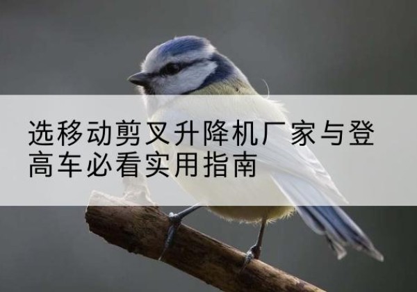 当涂电动升降机厂家-选移动剪叉升降机厂家与登高车必看实用指南